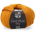 Lana Grossa Wolle Cool Wool Big
