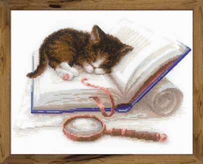 Tableau A Broder Chaton Sur Livre 30 X 24 Cm Acheter En Ligne Sur Buttinette Loisirs Creatifs