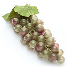 Weintrauben-Dolde, grün, 15 cm