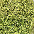 Herbe artificielle, vert clair, 100 g