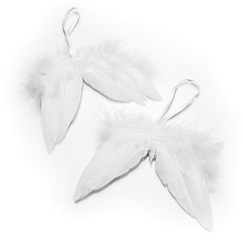Ailes d'ange en plumes, 10 cm, 2 pièces
