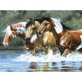 Kit peinture par numéros "chevaux", 40 x 30 cm
