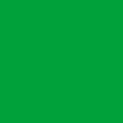 plottiX SpeedFlex-Folie, froschgrün, 30 x 30 cm