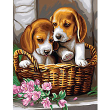 Kit peinture par numéros 'chiens dans une corbeille' avec des peintures acrylique, 23 x 30,5 cm