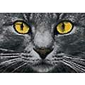 Kit broderie diamant "yeux de chat", 27 x 19 cm