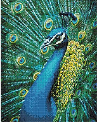 Diamantenstickerei Set Pfau 38 X 48 Cm Online Kaufen Buttinette Bastelshop