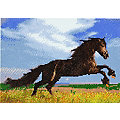 Diamantenstickerei-Set "Pferd", 34 x 24 cm