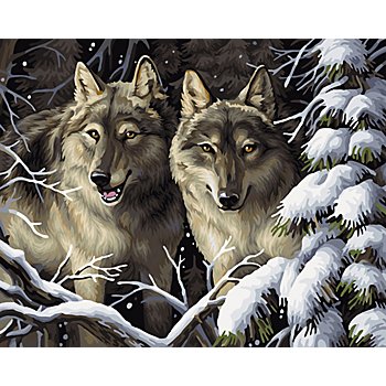 Malen nach Zahlen auf Leinwand 'Wölfe im Wald', 50 x 40 cm