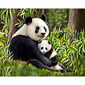 Diamantenstickerei-Set "Panda Mutter" , 48 x 38 cm