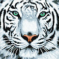 Diamantenstickerei-Set "Weisser Tiger", 30 x 30 cm
