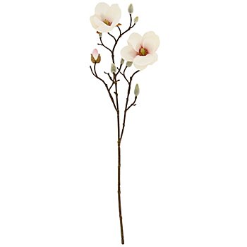 Magnolienzweig, 54 cm
