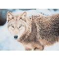Diamantenstickerei-Set "Wolf", 34 x 24 cm