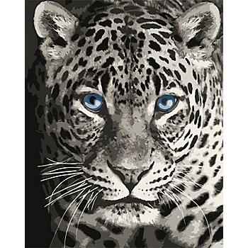 Malen nach Zahlen auf Leinwand 'Leopard', 40 x 50 cm