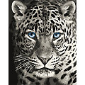 Kit peinture par numéros sur toile « léopard  », 40 x 50 cm