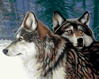 Kit peinture par numéros loups dans la forêt, 50 x 40 cm