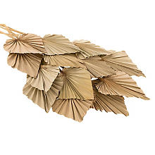 Palmenblätter, 30–60 cm, 20 Stück