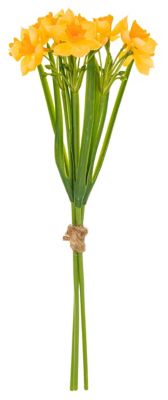 Narcissen, crème, geel, 35,5 cm, 3 stuks