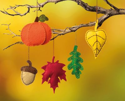 buttinette vilt-knutselset 'Herfstmotieven', 5 stuks