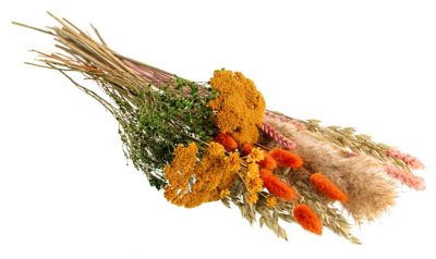 Droogbloemenassortiment 'Herfstlook', oranje-groen-naturel