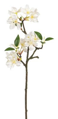 Branche de cerisier, blanc