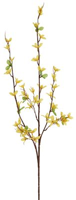 Forsythienzweig, 103 cm