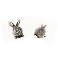 Canvas-Coupon "Hase", natur