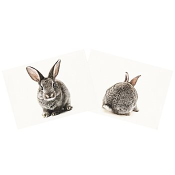 Canvas-Coupon 'Hase', natur