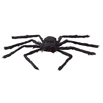Araignée géante, noir