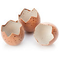 Coquilles d&apos;œufs, 5 x 4 cm, 8 pièces