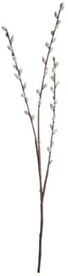 Branche De Chatons De Saule Artificiels 80 Cm Acheter En Ligne Sur Buttinette Loisirs Creatifs