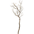 Branche déco, marron, 94 cm