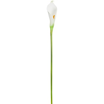Calla artificielle, blanc, 75 cm