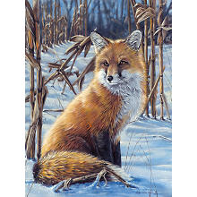 Kit peinture par numéros 'renard', 23 x 30,5 cm
