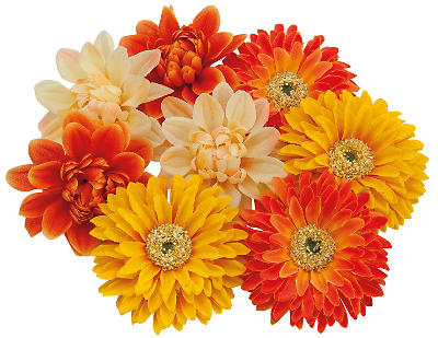 MATERIEL POUR L'ART FLORAL > Raphia Naturel au kl  Matériel d'art floral  et conseils pour la décoration florale