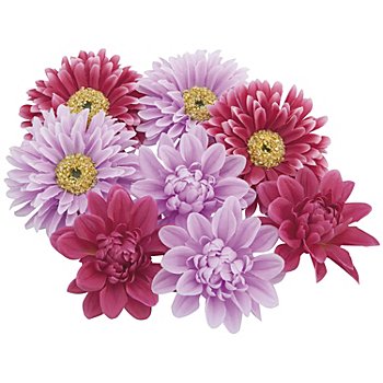 Têtes de fleurs, lilas/rose vif, 7 cm Ø, 8 pièces