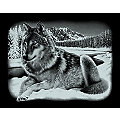 Kratzbild "Wolf", 25 x 20 cm