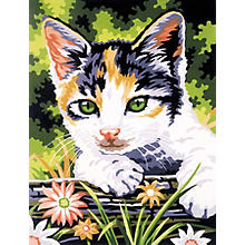 Malen nach Zahlen mit Acrylfarben 'Katze', 23 x 30,5 cm
