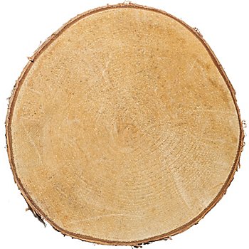 Rondelle en bois de bouleau, 19 - 24 cm Ø