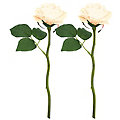 Roses, blanc, 30 cm, 2 pièces