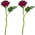 Roses, rouge foncé, 30 cm, 2 pièces