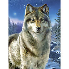 Kit peinture par numéros 'loup', avec des peintures acryliques, 23 x 30,5 cm