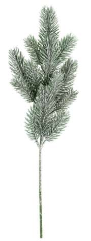 6 Branches décoratives - Rameaux de sapin - Art floral - 7,7 et 9,5 cm
