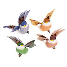 Federvögel 'Kolibri' mit Klammer, bunt, 8 cm, 4 Stück