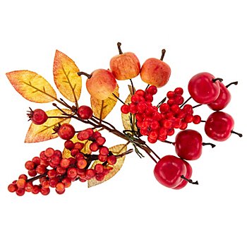 Fruits et feuilles d'automne pour la déco, 13 pièces