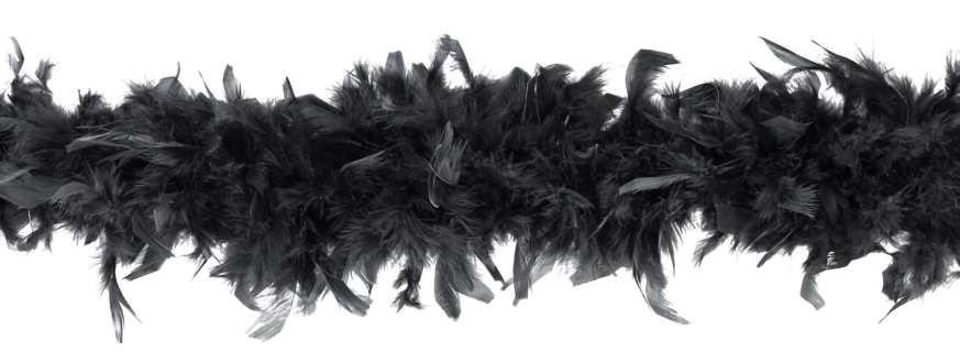 Boa en plumes noir