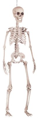 Deko-Aufhänger Skelett, 90 cm